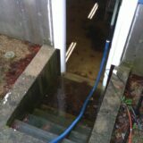 water removal from a basement